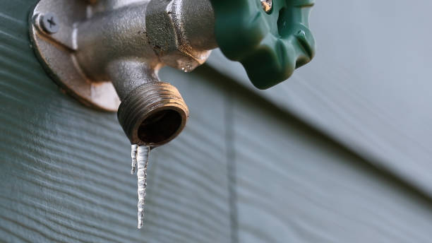 Best Local Plumber Services  in Fall Creek, WI
